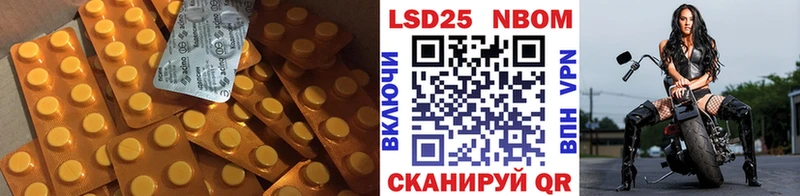 дарк нет как зайти Чудово LSD-25 экстази ecstasy