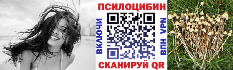 Псилоцибиновые грибы Psilocybe  Чудово 